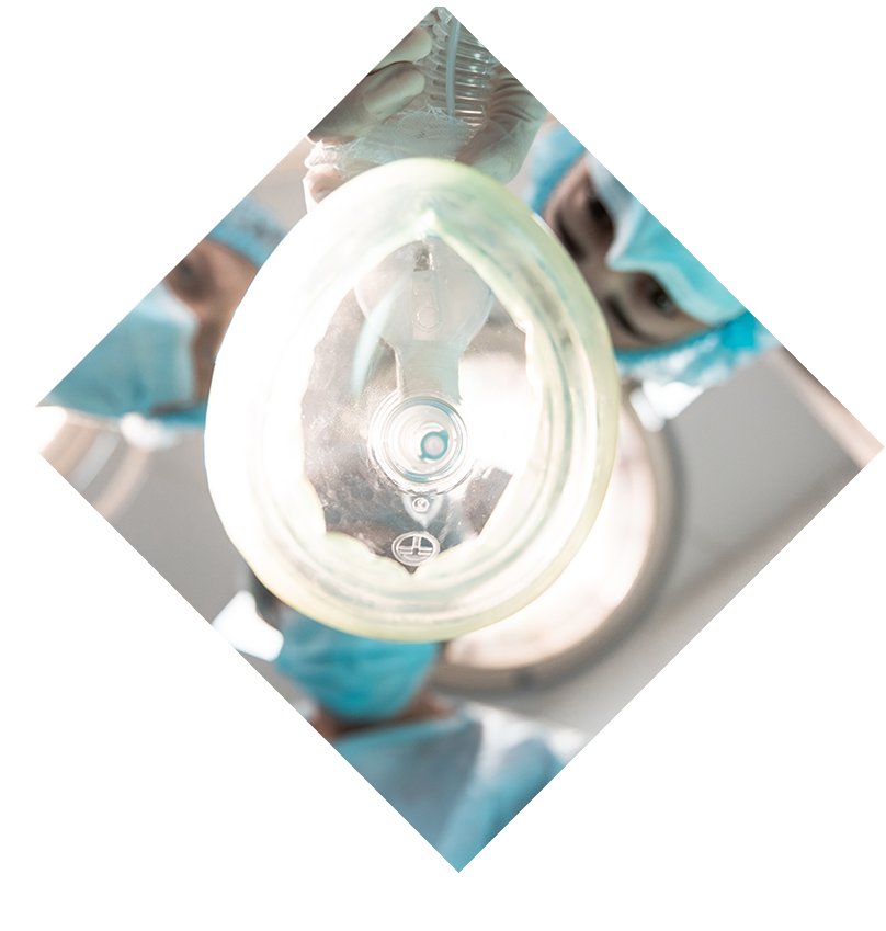 SRNAs_and_RRNAs